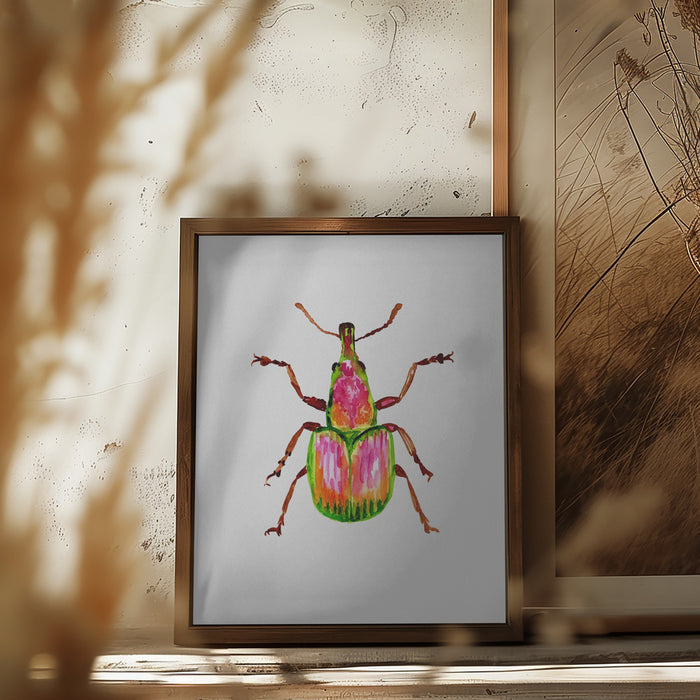 Apricot weevil or Epirhynchites auratus Framed Art Modern Wall Decor