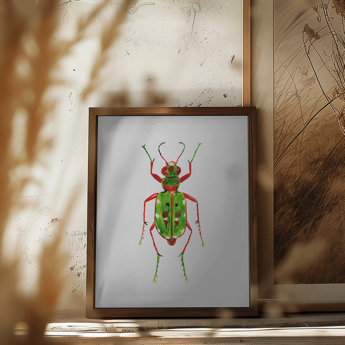 Green tiger beetle or Cicindela campestris Framed Art Wall Decor