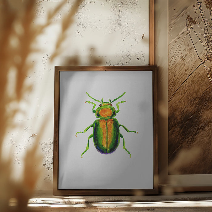 Tansy beetle or Chrysolina graminis Framed Art Wall Decor