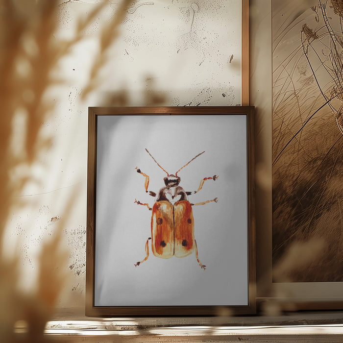 Another leaf beetle the Cryptocephalus cordiger Framed Art Modern Wall Decor