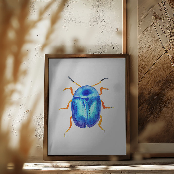 Blue leaf beetle or Colaphus sophiae Framed Art Modern Wall Decor