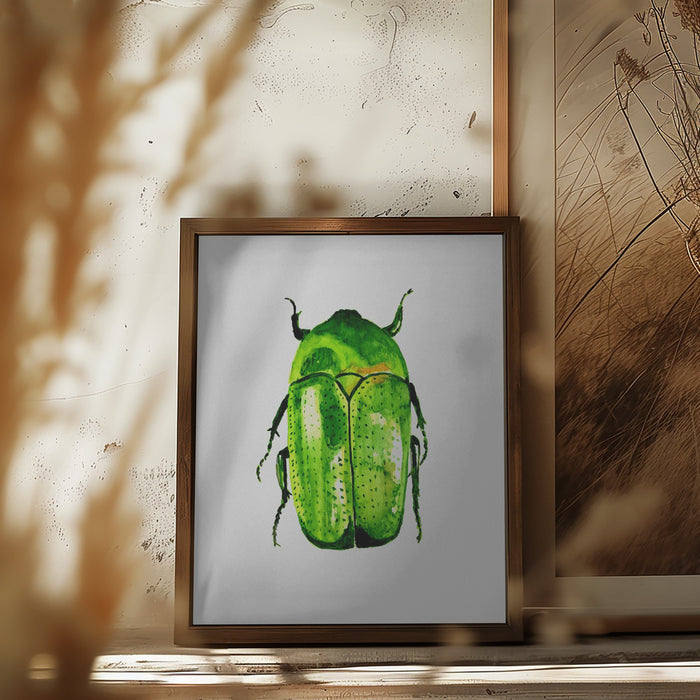 Green June beetle or Cotinis nitida Framed Art Modern Wall Decor