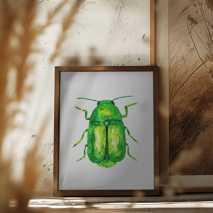 Cylindrical leaf beetle or Cryptocephalus sericeus Framed Art Modern Wall Decor