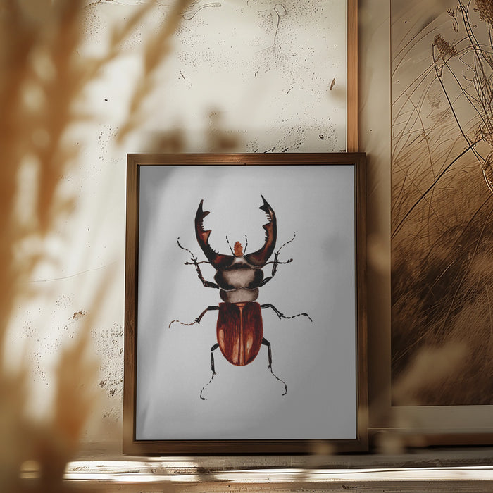 Stag beetle or Lucanus cervus Framed Art Modern Wall Decor