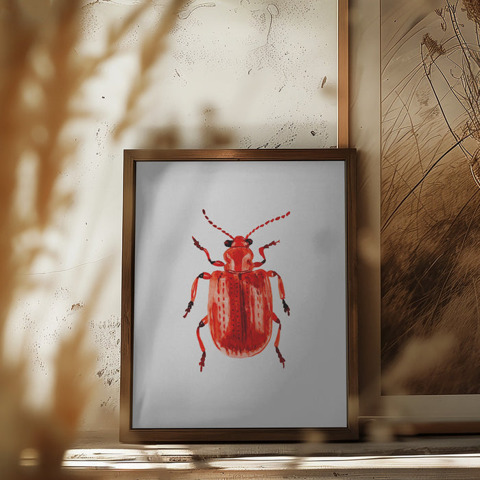 Onion beetle or Lilioceris merdigera Framed Art Modern Wall Decor