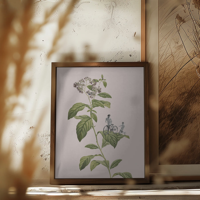 Botanical cycling Framed Art Modern Wall Decor