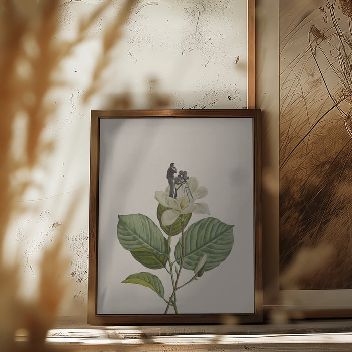 Botanical vintage cameraman Framed Art Modern Wall Decor