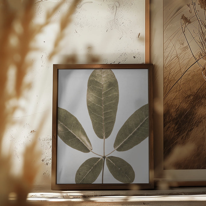 Autum Leaf Framed Art Wall Decor