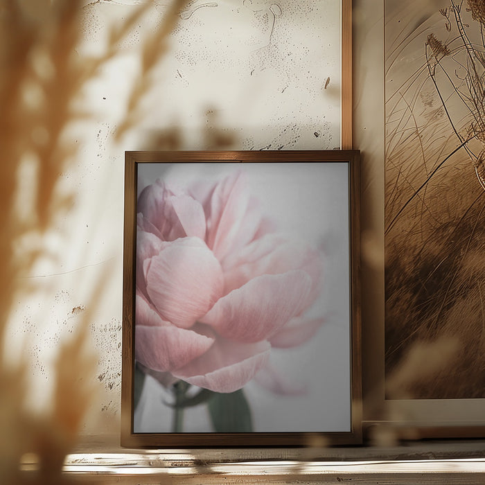 Peony 3 Framed Art Modern Wall Decor