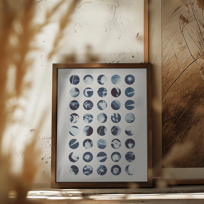 Botanical Cyanotypes Framed Art Modern Wall Decor