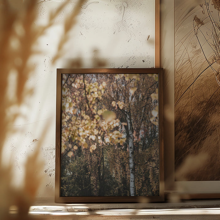 Autumn Birch Tree Framed Art Wall Decor