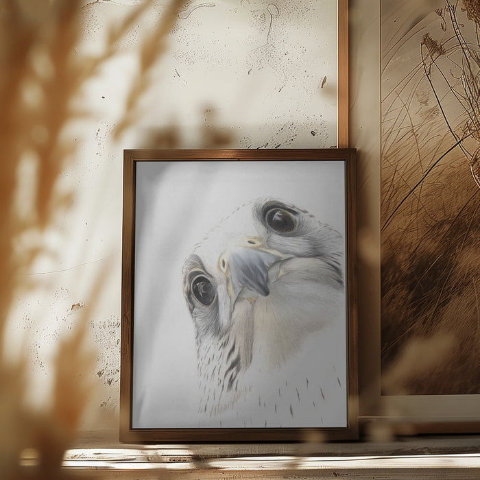 Falcon Framed Art Wall Decor