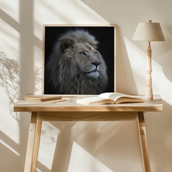 Proud Lion Square Poster Art Print by Louise Wolbers