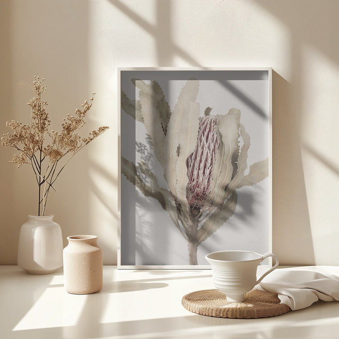 Banksia Framed Art Modern Wall Decor