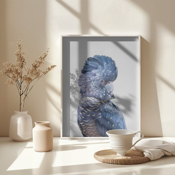 Black Cockatoo Framed Art Modern Wall Decor