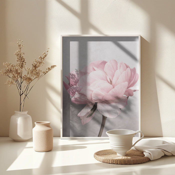 Peony Framed Art Modern Wall Decor