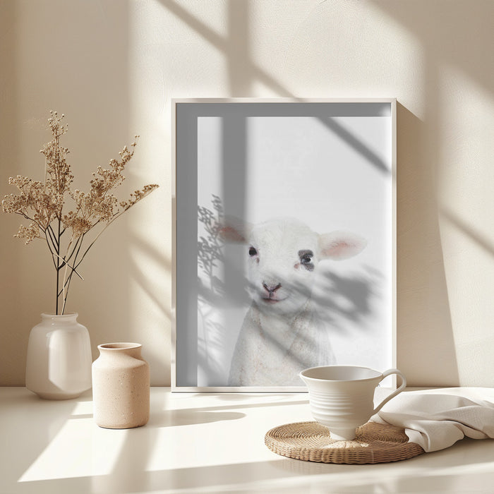 Baby Lamb Framed Art Modern Wall Decor