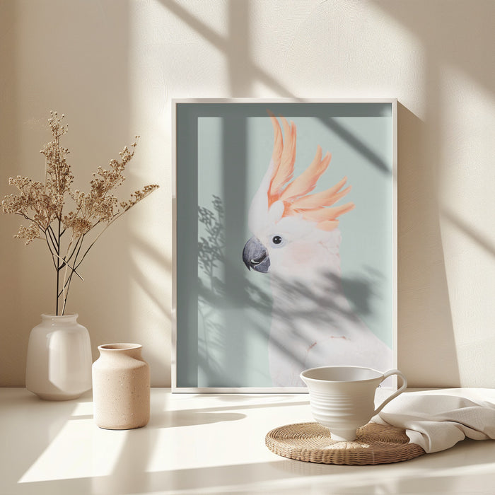 Cockatoo Framed Art Modern Wall Decor