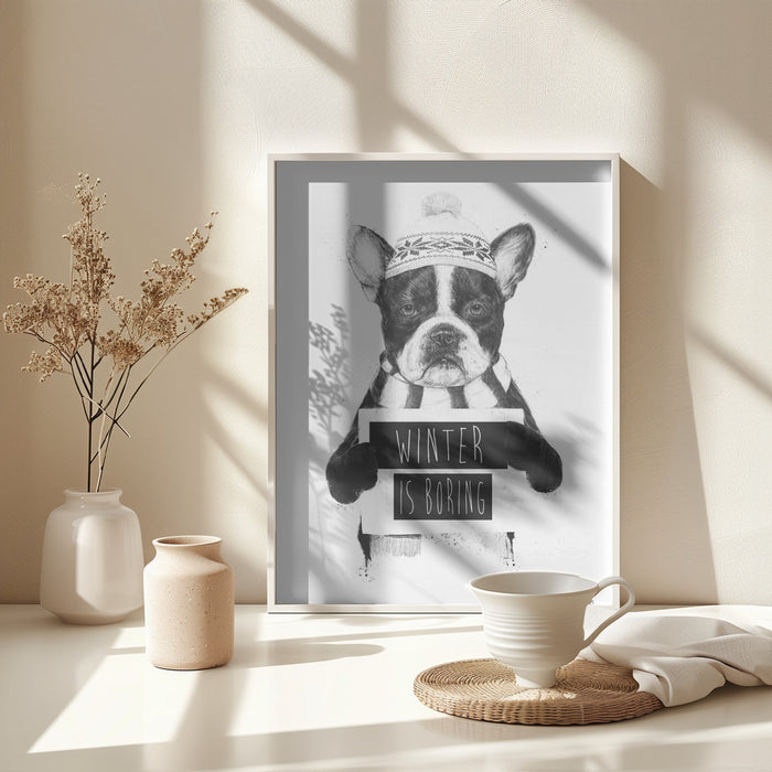 Winter is boring Framed Art Modern Wall Decor