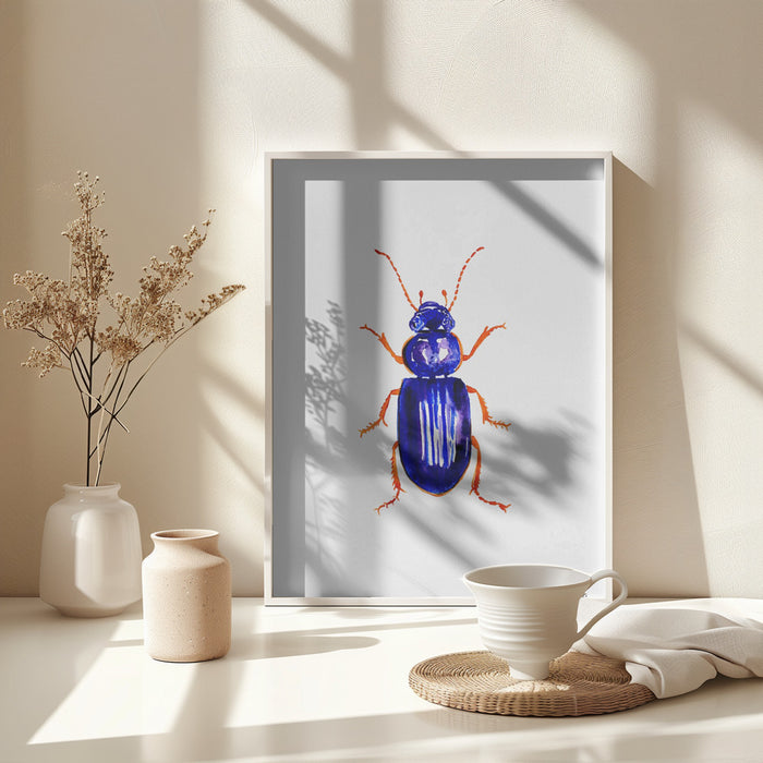 Ophonus minimus Framed Art Modern Wall Decor