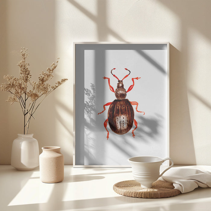 Strawberry root weevil  or Otiorhynchus ovatus Framed Art Modern Wall Decor