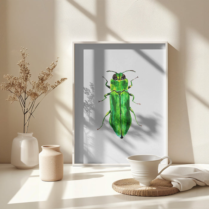 Jewel beetle or Agrilus angustulus Framed Art Modern Wall Decor