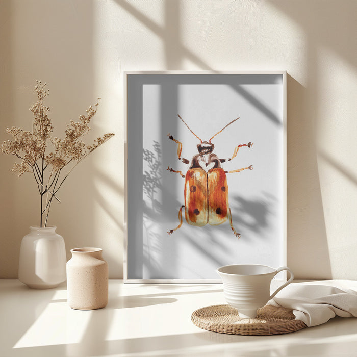 Another leaf beetle the Cryptocephalus cordiger Framed Art Modern Wall Decor