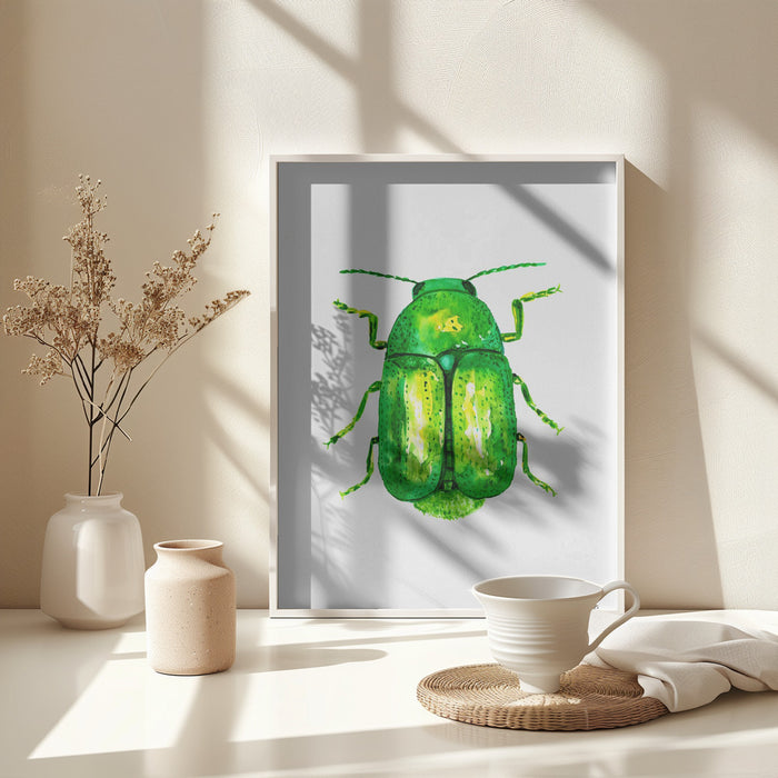 Cylindrical leaf beetle or Cryptocephalus sericeus Framed Art Modern Wall Decor