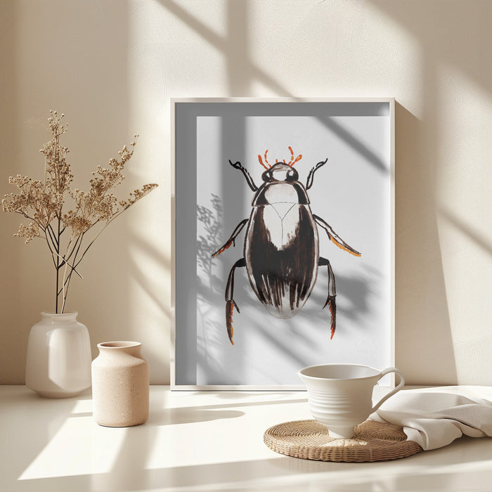 Water scavenger beetle or Hydrophilus aterrimus Framed Art Modern Wall Decor