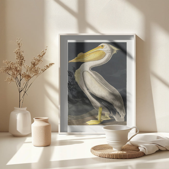 American White Pelican From Birds of America (1827) Framed Art Modern Wall Decor