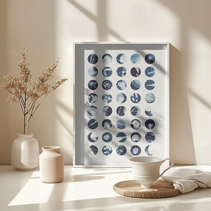 Botanical Cyanotypes Framed Art Modern Wall Decor