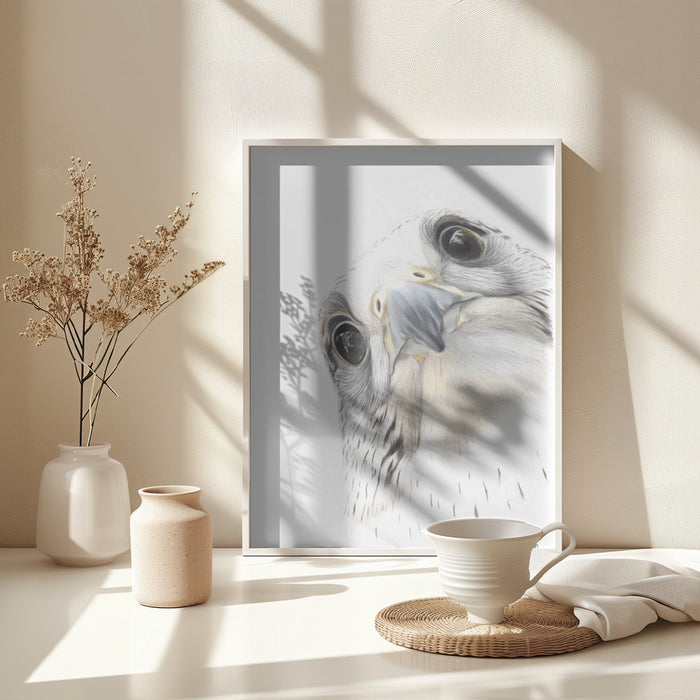 Falcon Framed Art Wall Decor