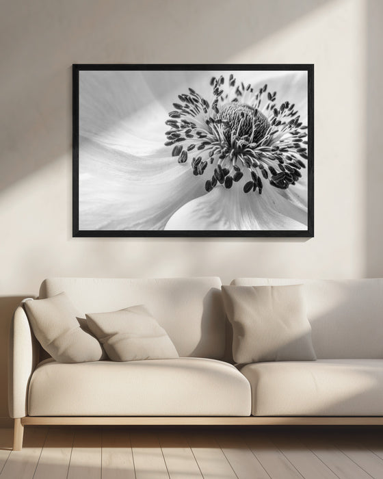 Anemone Landscape Framed Art