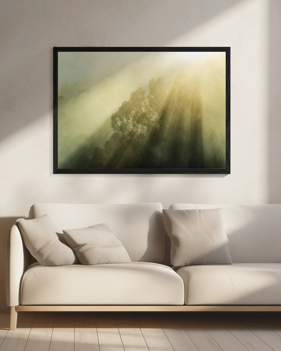 Foggy Woods III Landscape Framed Art