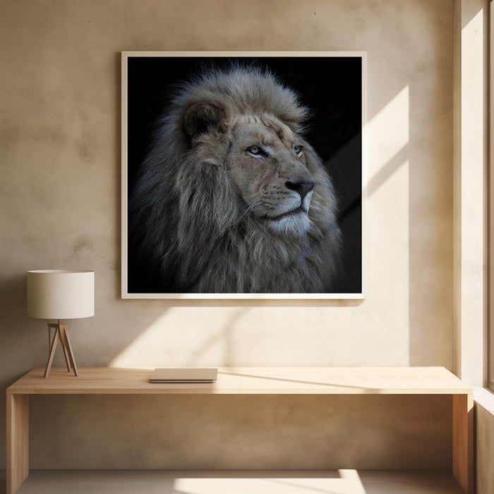 Proud Lion Square Poster Art Print by Louise Wolbers