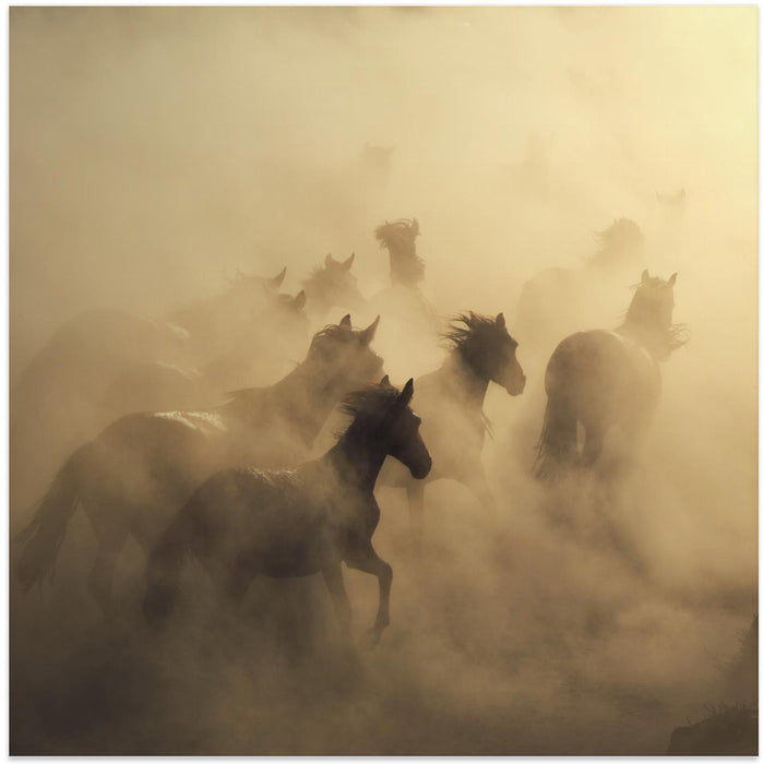 migration of horses Square Canvas Art Print