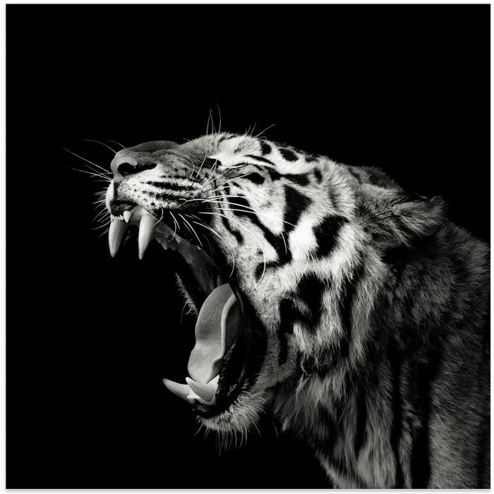 Primal Yawn #4 Square Canvas Art Print