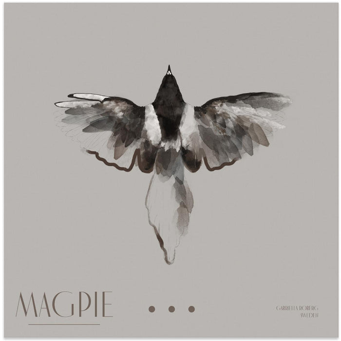 Magpie II Square Canvas Art