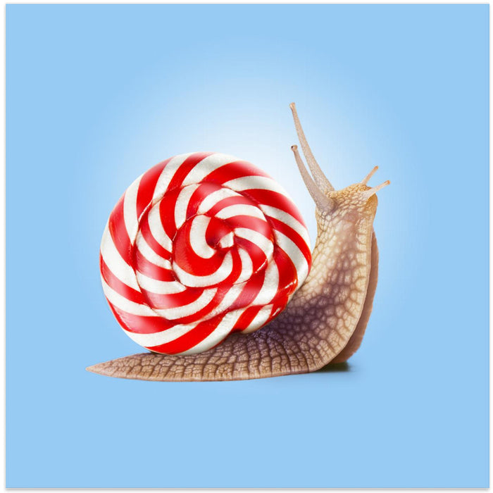 Snail Candy Square Canvas Art Print