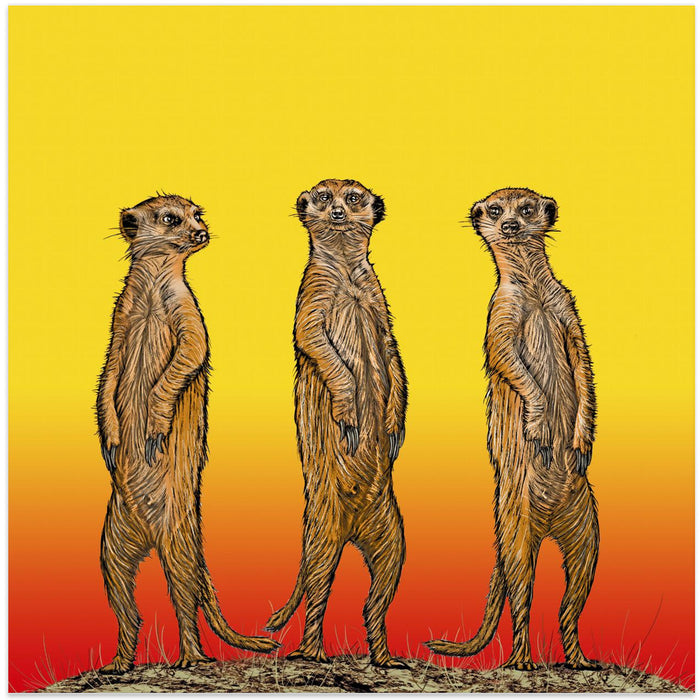 Meerkat Gang at Sunset Square Canvas Art Print