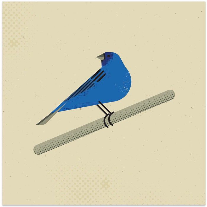 Indigo Bunting Square Canvas Art