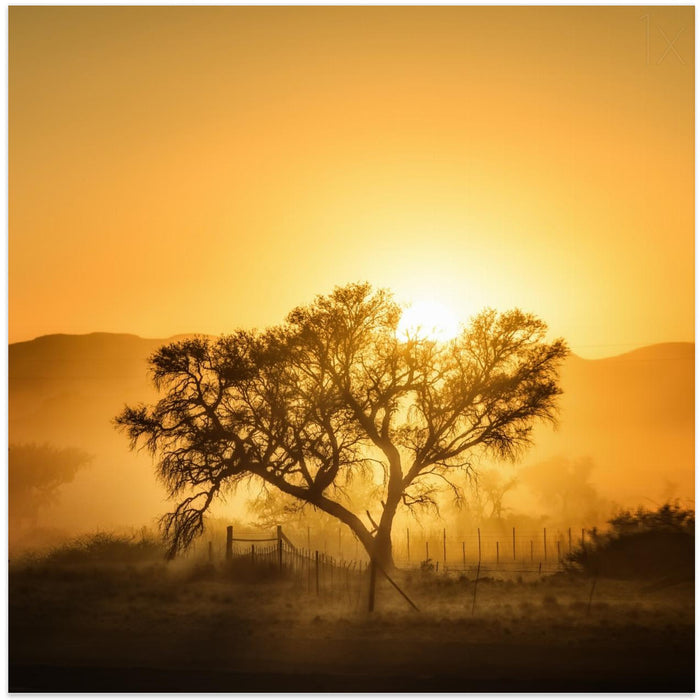 Golden Sunrise Square Canvas Art