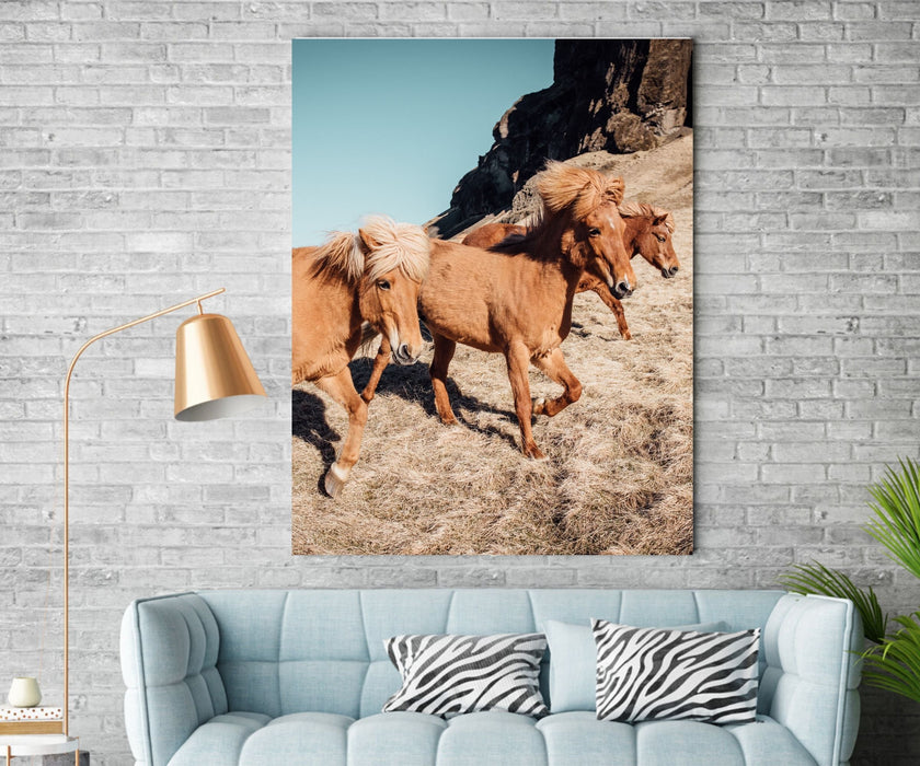 Running Horses Canvas Print Wall Art for Wall Décor