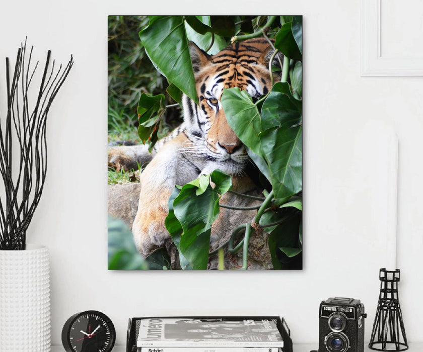 Tiger Canvas Prints Wall Décor 