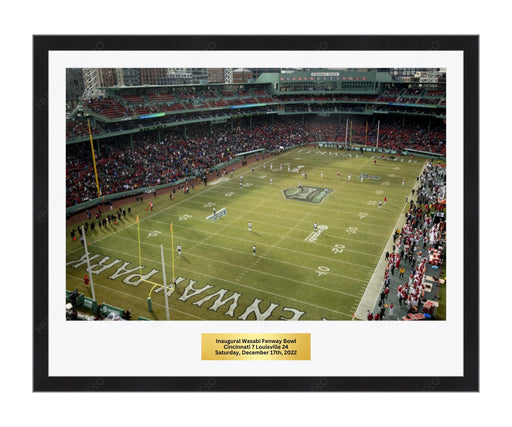 Wasabi Fenway Bowl Framed Photos - Modern Memory Design Picture frames - New Jersey Frame shop custom framing